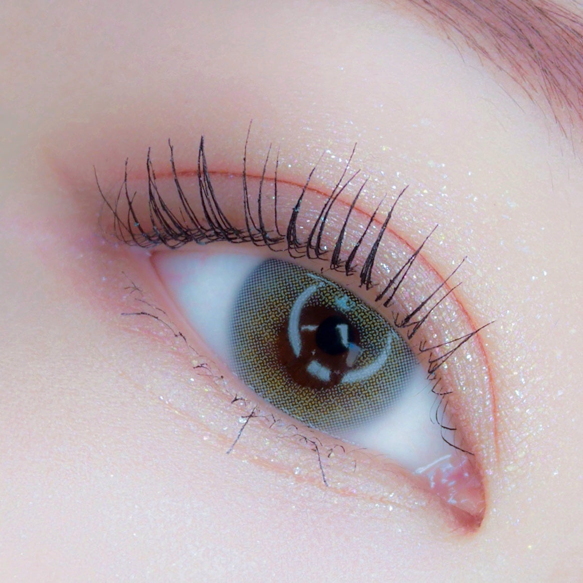 エレクトリックショックアイズ /KATE/アイシャドウパレットを使ったクチコミ(2枚目)