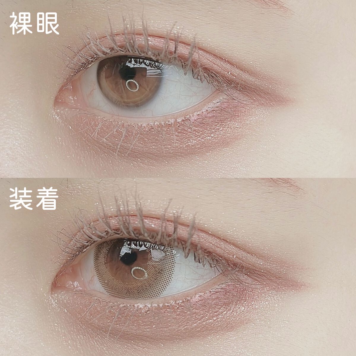 Chu's me 1day シフォンブラウン/Chu's me/ワンデー（１DAY）カラコンを使ったクチコミ（3枚目）