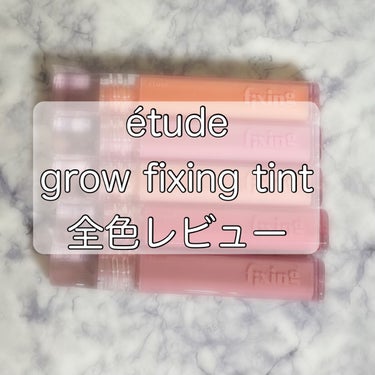 エチュードの新作ティント全色レビュー✨

保湿されるけどサラッとしてい
て軽めの着け心地でした😊

粘膜色から濃いめの色まであります！！

パーソナルカラーがあっても選びやすい色味
が揃っています♡

