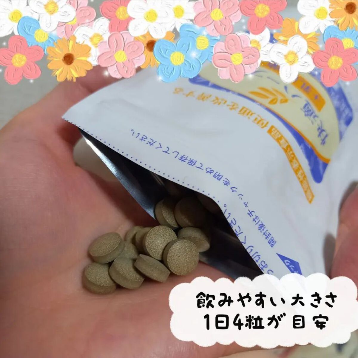 快適ハーブ粒プラス乳酸菌/ナチュラルウェーブ/健康サプリメントを使ったクチコミ（2枚目）