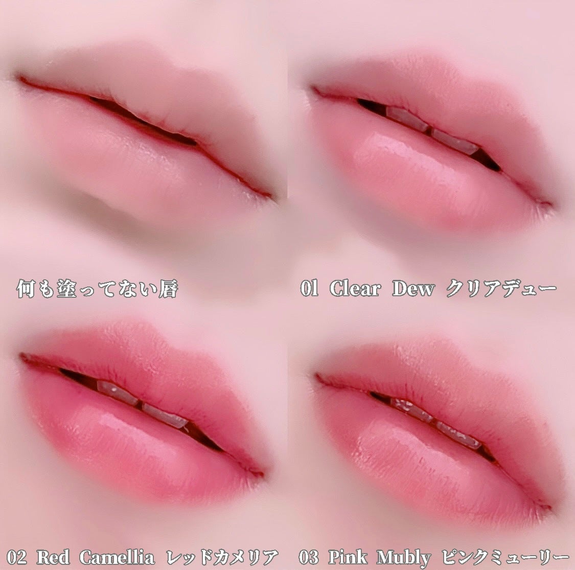 ナチュラルブルームリップオイルセラム 3色セット/PINATE/リップグロスを使ったクチコミ(4枚目)