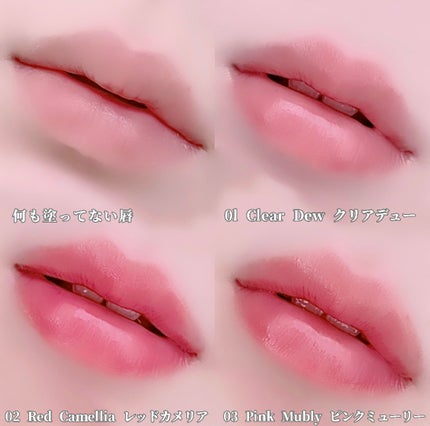 ナチュラルブルームリップオイルセラム 3色セット/PINATE/リップグロスを使ったクチコミ(4枚目)