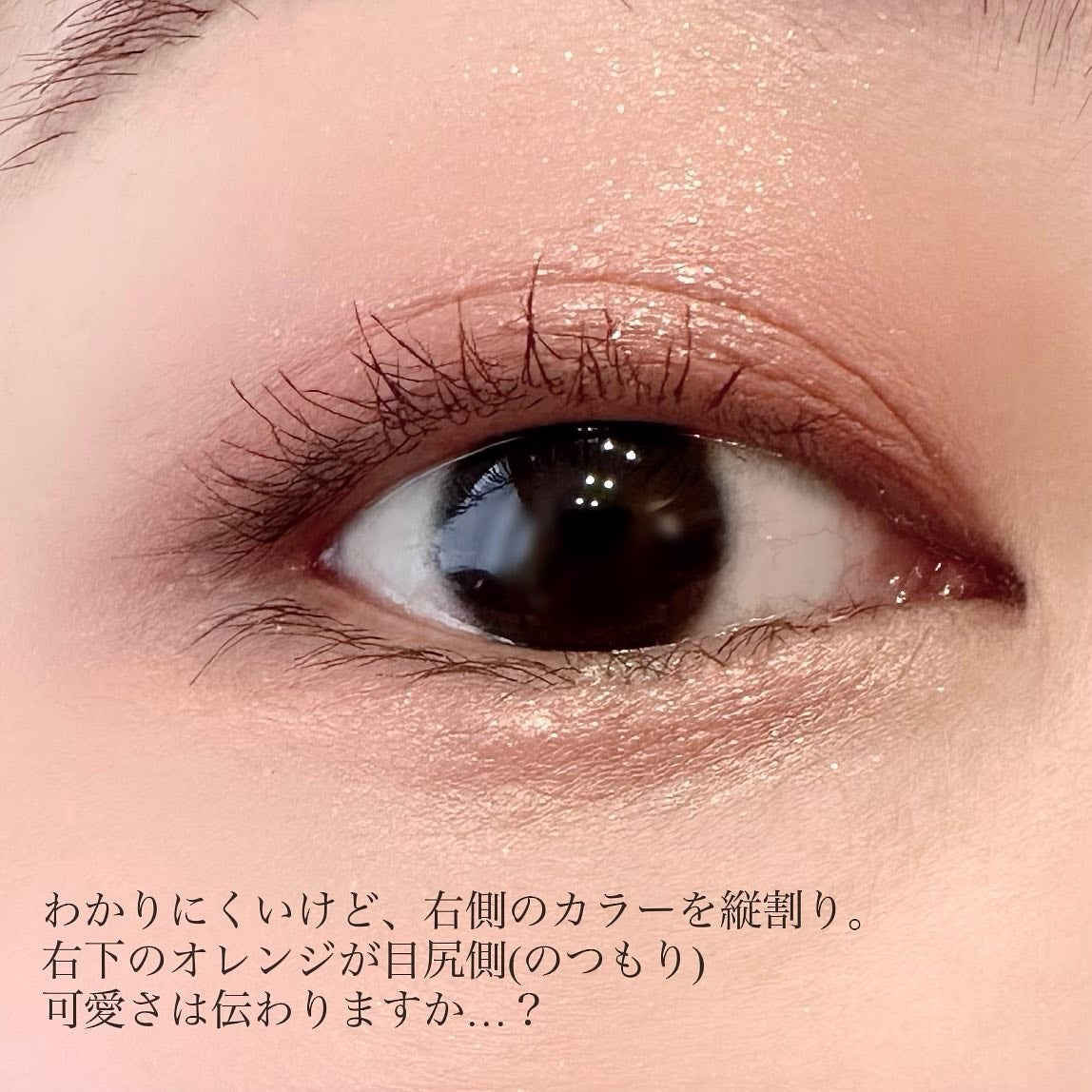 シルキースフレアイズ(マットタイプ)/キャンメイク/アイシャドウパレットを使ったクチコミ(4枚目)