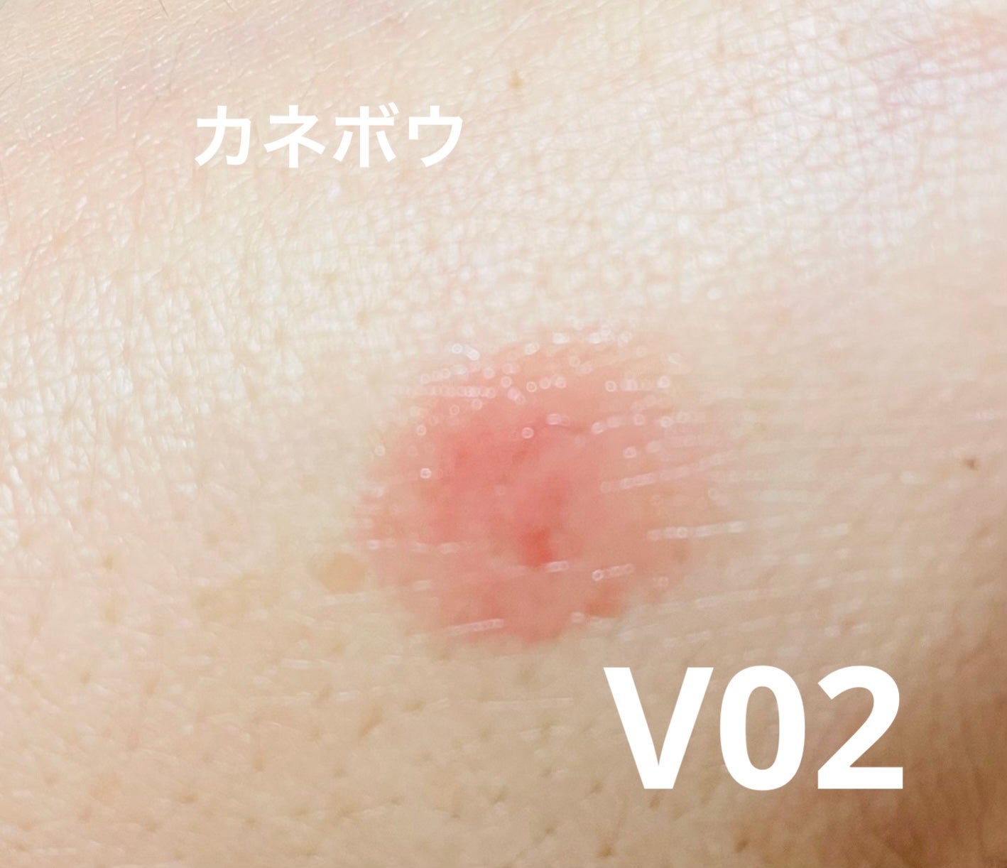 ルージュスターヴァイブラント/KANEBO/口紅を使ったクチコミ(1枚目)