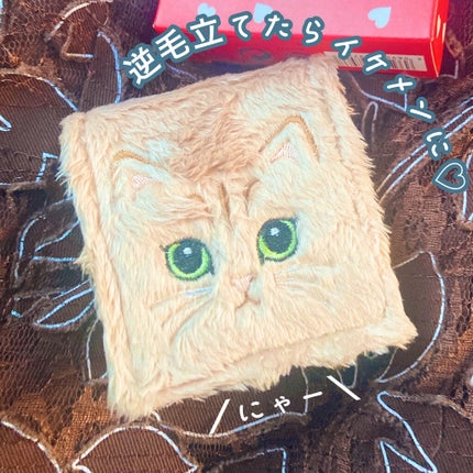 プレスト ブラッシュ/PAUL & JOE BEAUTE/パウダーチークを使ったクチコミ(8枚目)