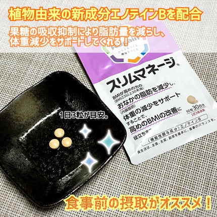 リゲインスリムマネージ/リゲイン/健康サプリメントを使ったクチコミ(2枚目)