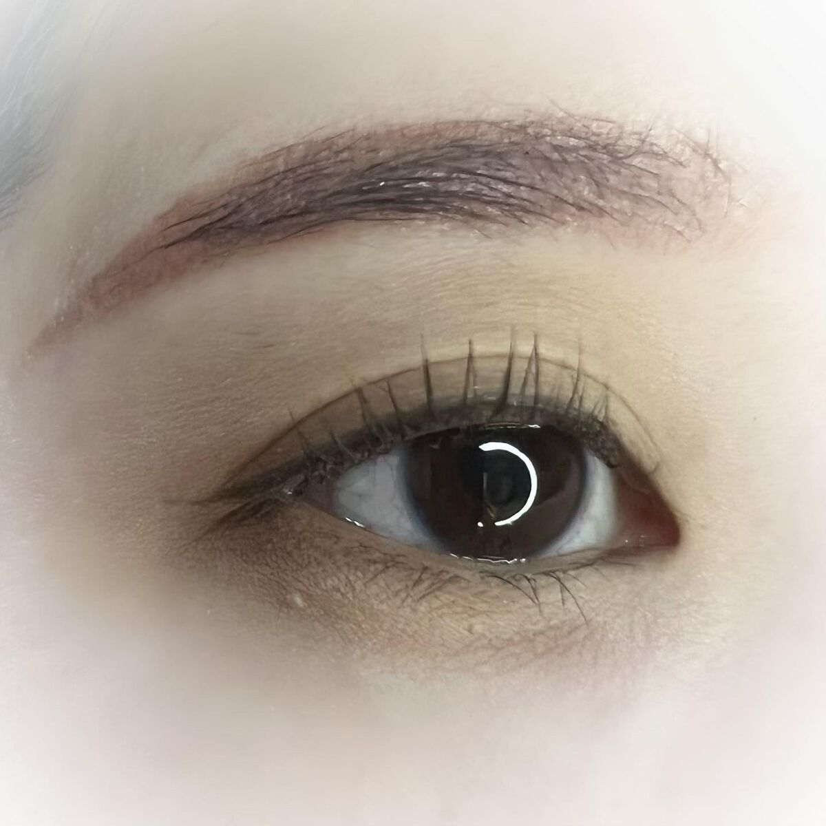 COLORFUL EYE PALETTE/NAMING./アイシャドウパレットを使ったクチコミ(3枚目)