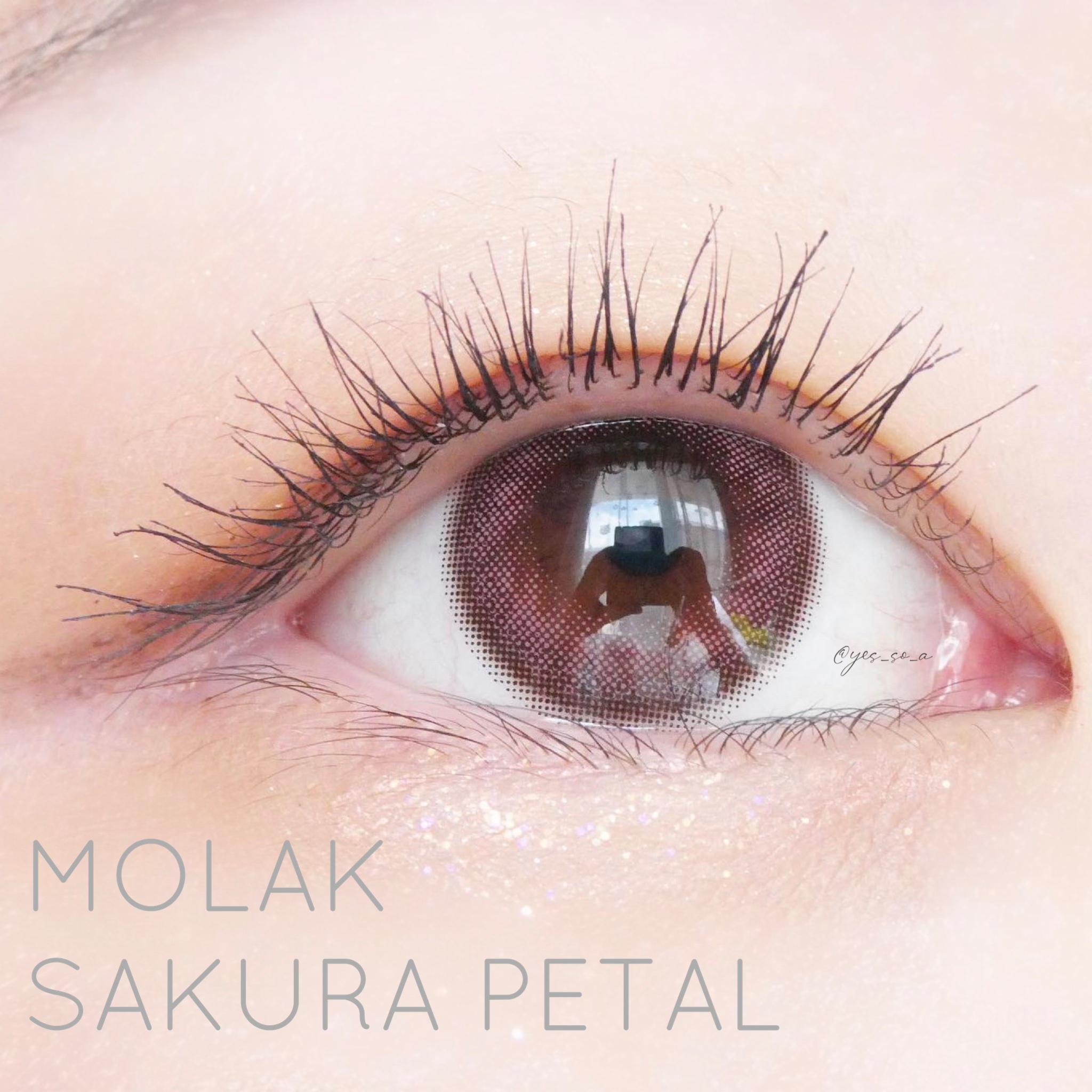 MOLAK 1day/MOLAK/ワンデー（１DAY）カラコンを使ったクチコミ（1枚目）