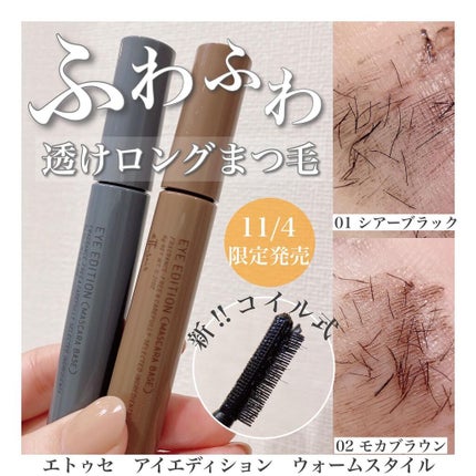 エテュセ アイエディション(マスカラベース)ウォームスタイル/ettusais/マスカラ下地を使ったクチコミ(1枚目)