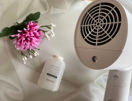 トリートメントミストドライヤー /SALONIA/ドライヤーを使ったクチコミ(2枚目)