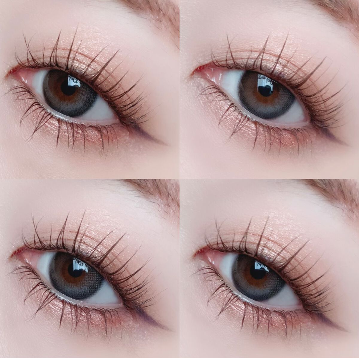 ベージュトーンアイシャドウ/CEZANNE/アイシャドウパレットを使ったクチコミ(6枚目)