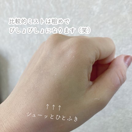 アレルシャット/フマキラー/その他を使ったクチコミ(3枚目)