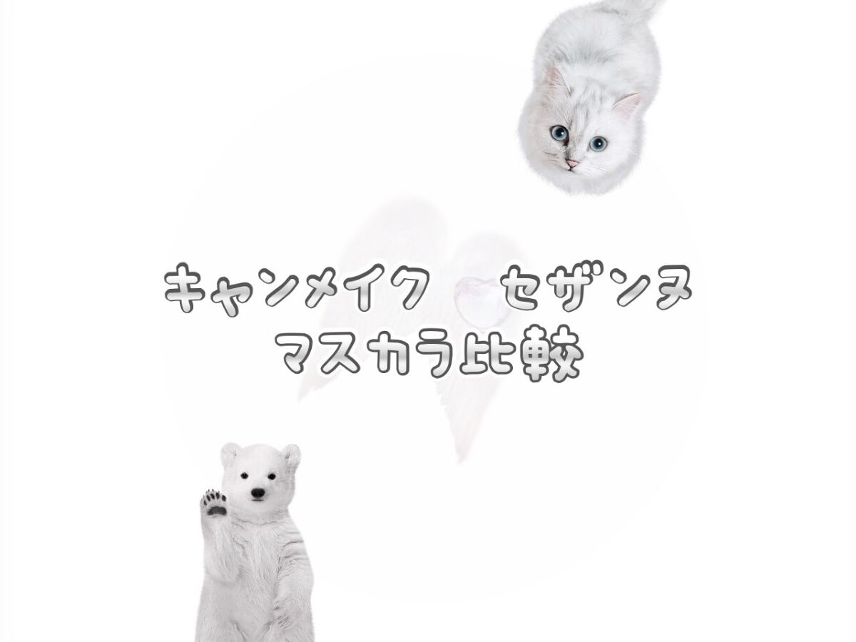 エアリーロングラッシュマスカラ/CEZANNE/マスカラを使ったクチコミ（1枚目）