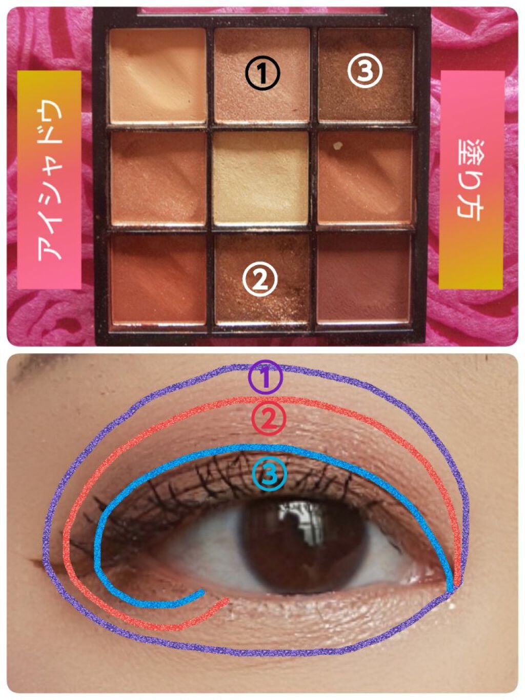 UR GLAM BLOOMING EYE COLOR PALETTE/U R GLAM/アイシャドウパレットを使ったクチコミ(5枚目)
