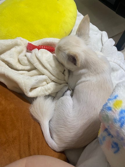 チーク ポップ/CLINIQUE/パウダーチークを使ったクチコミ(4枚目)