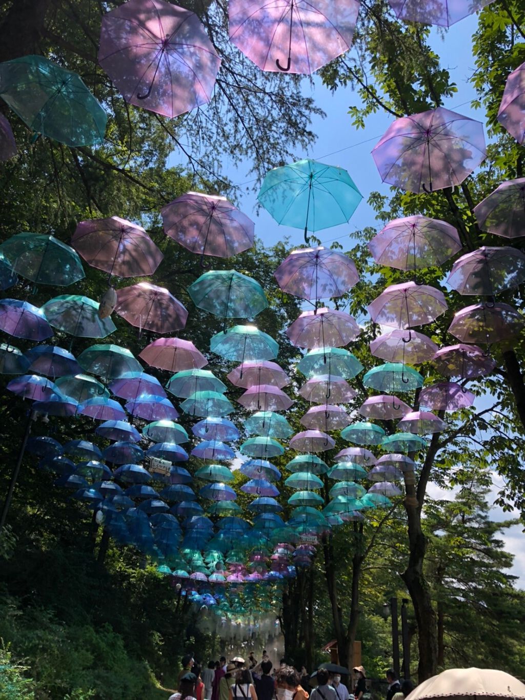 カラフルネイルズ/キャンメイク/マニキュアを使ったクチコミ（3枚目）