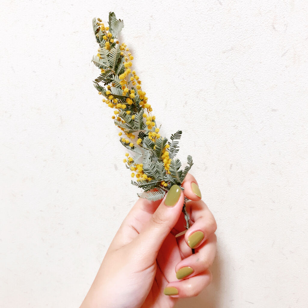 カラークラブ/Forsythe/マニキュアを使ったクチコミ（1枚目）