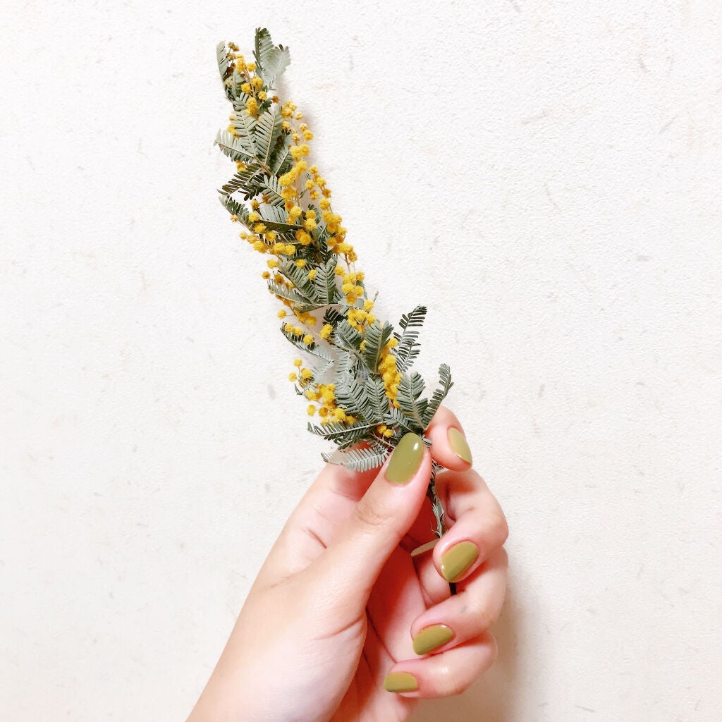 カラークラブ/Forsythe/マニキュアを使ったクチコミ(1枚目)