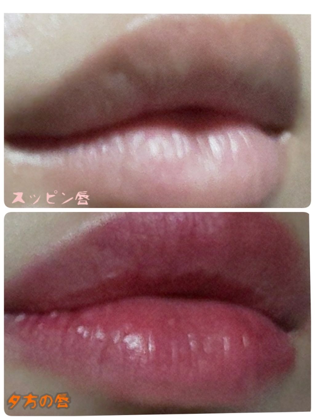 CCリップクリームN/KATE/リップケアを使ったクチコミ（2枚目）