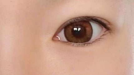 エバーカラーワンデー ルクアージュ/エバーカラー/ワンデー(1DAY)カラコンを使ったクチコミ(1枚目)