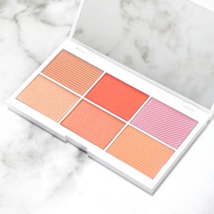 ブラッシュ&コントロール6カラーチークパレット リミテッドエディション/1028/パウダーチークを使ったクチコミ(1枚目)