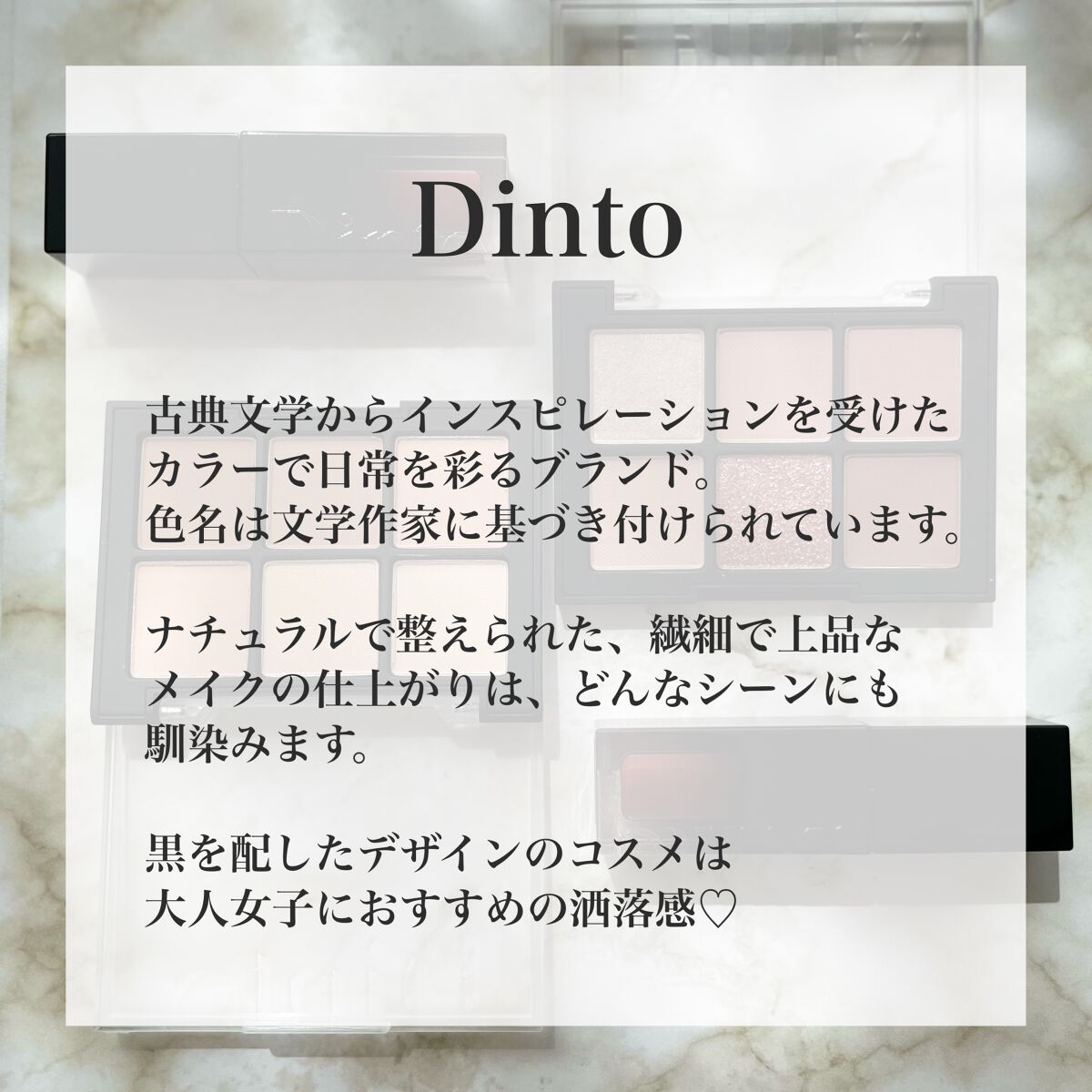 ブラーフィニシュシャドウパレット/Dinto/アイシャドウパレットを使ったクチコミ(9枚目)