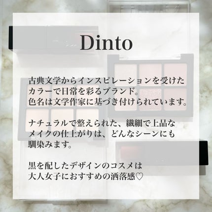 ブラーフィニシュシャドウパレット/Dinto/アイシャドウパレットを使ったクチコミ(9枚目)