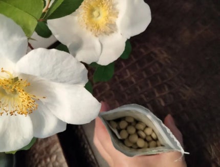 mcgroupakiko on LIPS 「 健康は腸内の状態と多いに関係しているということですので、腸内..」(4枚目)