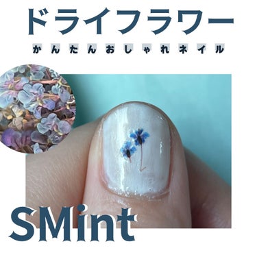 【簡単おしゃれネイル】コスパ最強ドライフラワー

【使った商品】
SMint ドライフラワー B-50 （385円）

【購入場所】
楽天市場

【商品の特徴】
小さなケースに入れられて届きます。
0.