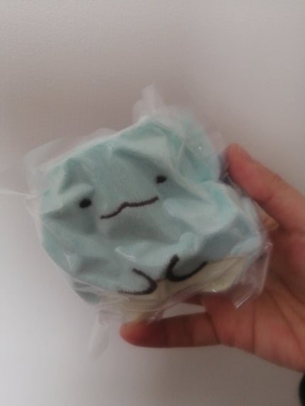 ほぐれる温蒸気/白元アース/その他を使ったクチコミ(5枚目)