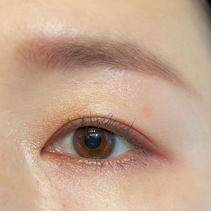 オブスキュア テンプテイション アイシャドウパレット/RMK/アイシャドウパレットを使ったクチコミ(6枚目)