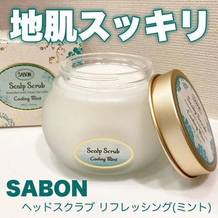 ヘッドスクラブ リフレッシング(ミント)/SABON/ヘッドスクラブを使ったクチコミ(1枚目)