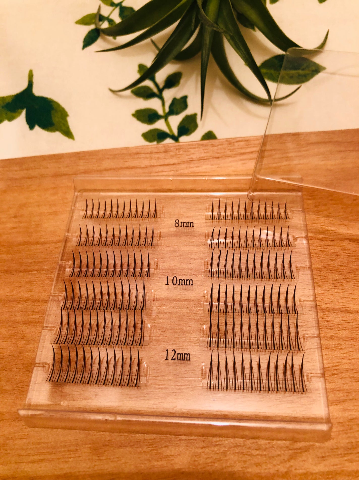 ミッシュブルーミン 3Dアイラッシュライン/ミッシュブルーミン/つけまつげを使ったクチコミ(2枚目)