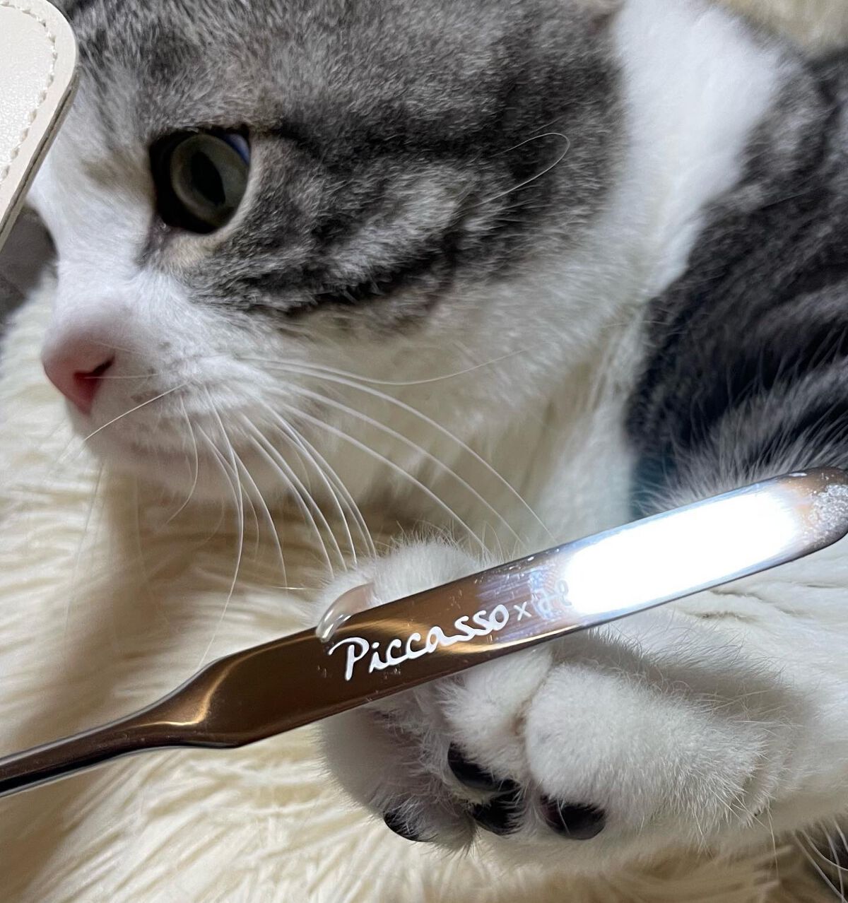 ピカソ メイクアップ スパチュラ /PICCASSO/その他化粧小物を使ったクチコミ（1枚目）