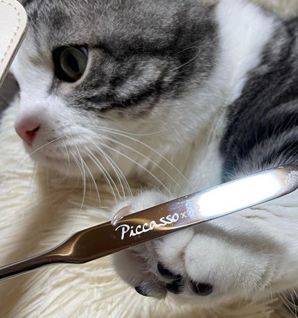 ピカソ メイクアップ スパチュラ /PICCASSO/その他化粧小物を使ったクチコミ(1枚目)