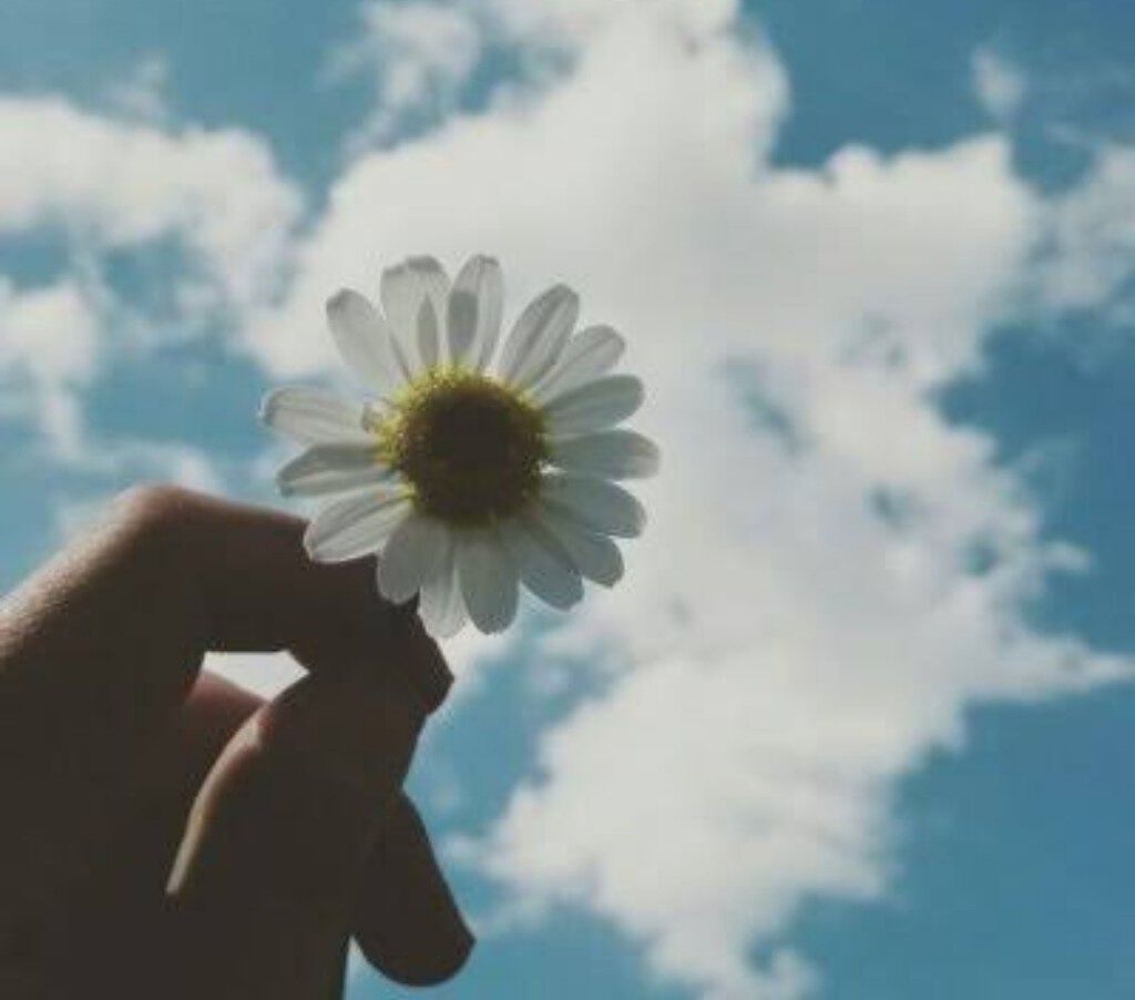 日やけ止め透明スプレー 無香料/サンカット®/日焼け止めミスト・スプレーを使ったクチコミ（1枚目）