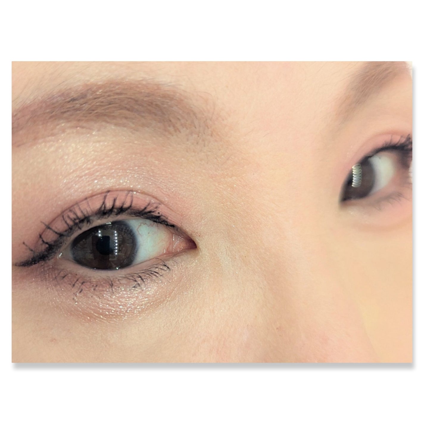 セレクト アイカラー N/ESPRIQUE/単色アイシャドウを使ったクチコミ(2枚目)