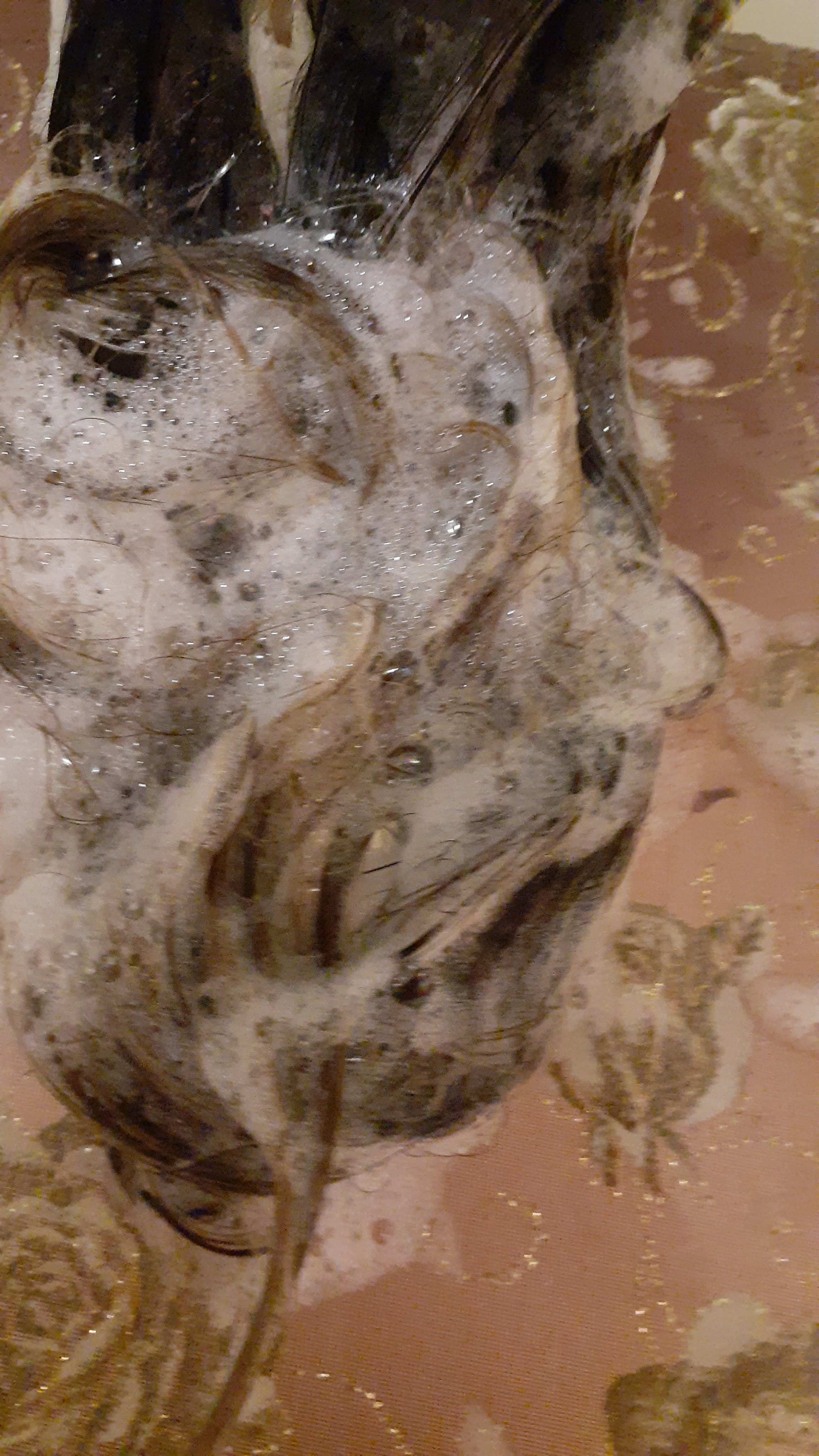 シャンプー/トリートメント/Rubian Royal/市販シャンプーを使ったクチコミ（3枚目）