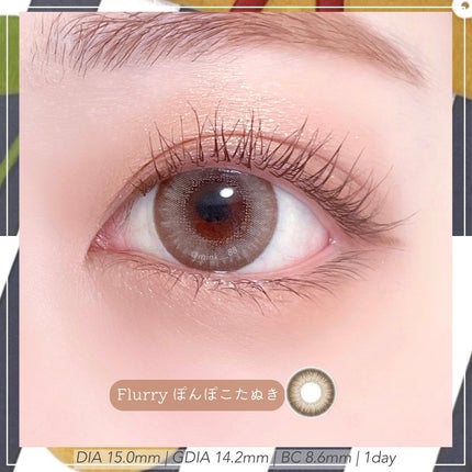 Flurry by colors 1day パールライトブラウン(ぽんぽこたぬき)/Flurry by colors/ワンデー(1DAY)カラコンを使ったクチコミ(2枚目)