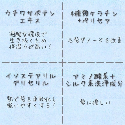 バランスエフェクトシャンプー/トリートメント/スリーク by サラサロン/市販シャンプーを使ったクチコミ(3枚目)