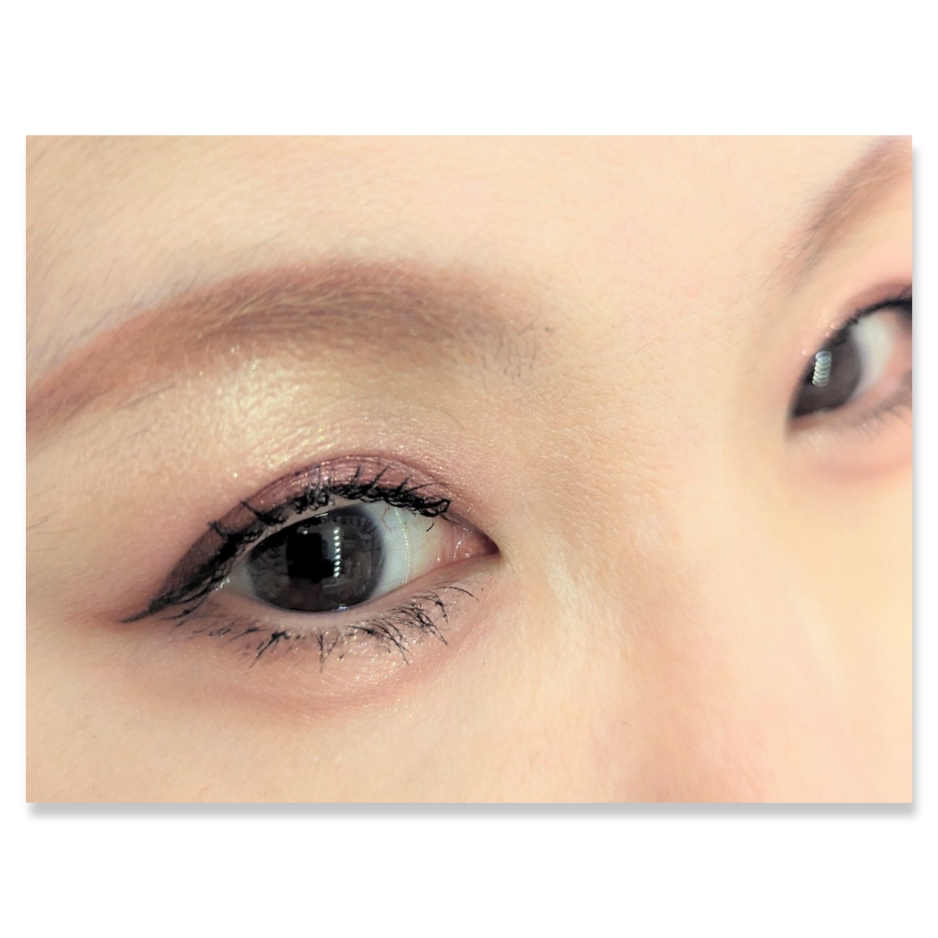 jill leen. 9色アイシャドウパレットのクチコミ「本日のアイシャドウ♡
久しぶりの使用です。
#jillleen.
#9色アイシャドウパレット
.....」（2枚目）