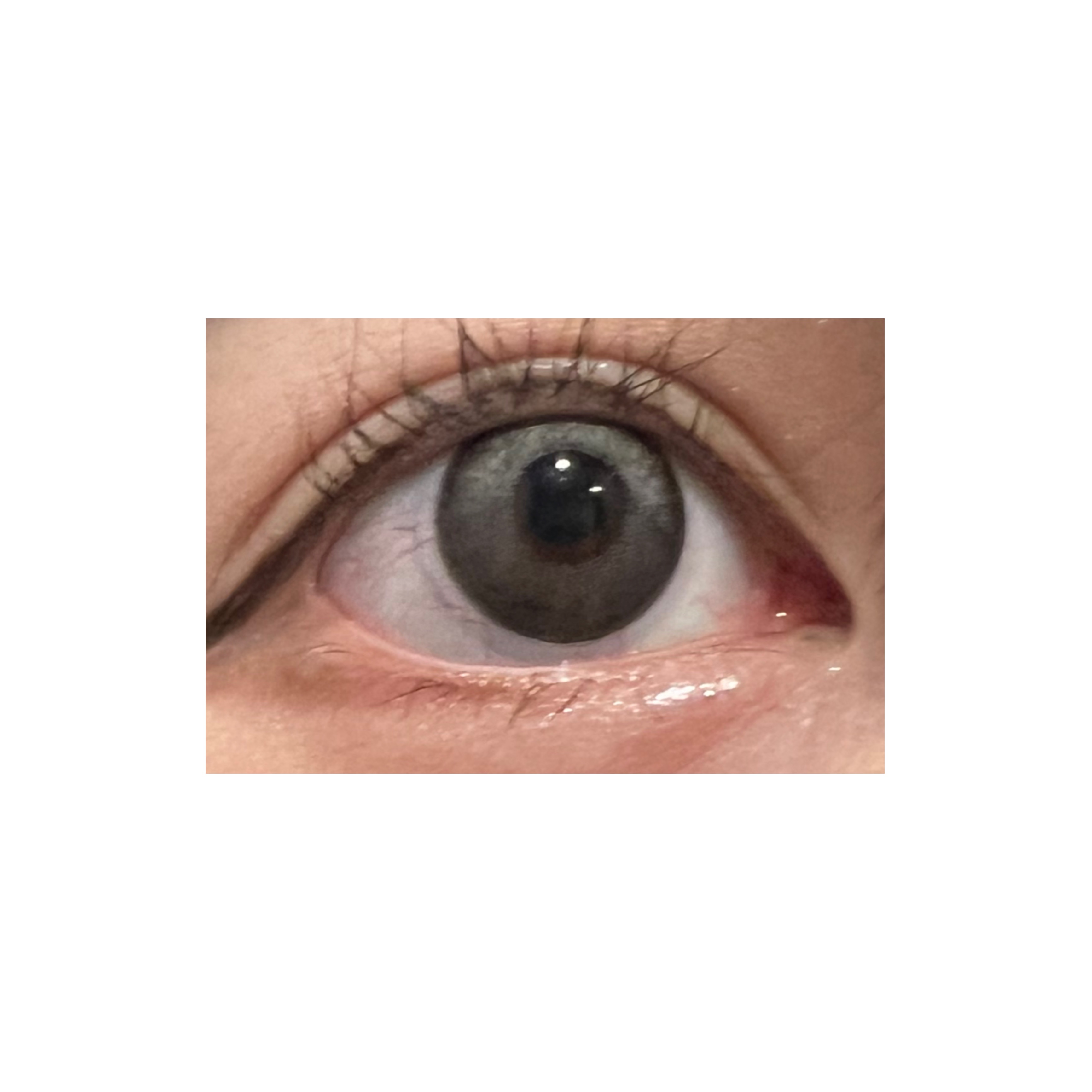 aieclipse 1day/aieclipse/ワンデー（１DAY）カラコンを使ったクチコミ（2枚目）