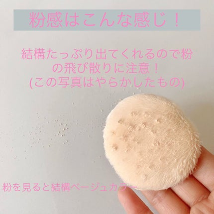 シルキールースモイストパウダー/キャンメイク/ルースパウダーを使ったクチコミ(3枚目)
