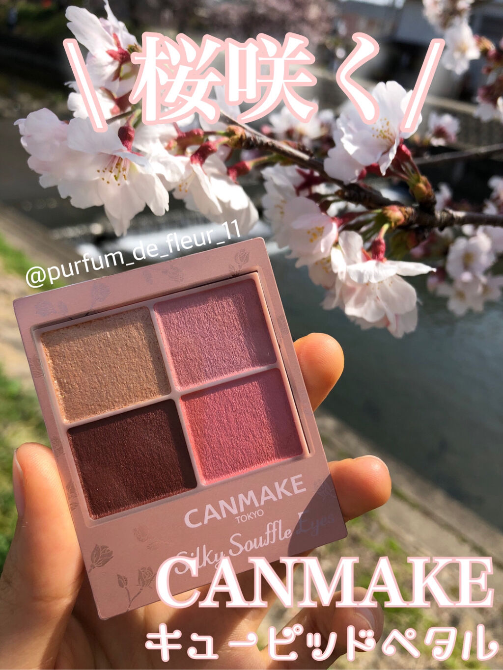 シルキースフレアイズ（マットタイプ）/キャンメイク/アイシャドウパレットを使ったクチコミ（1枚目）