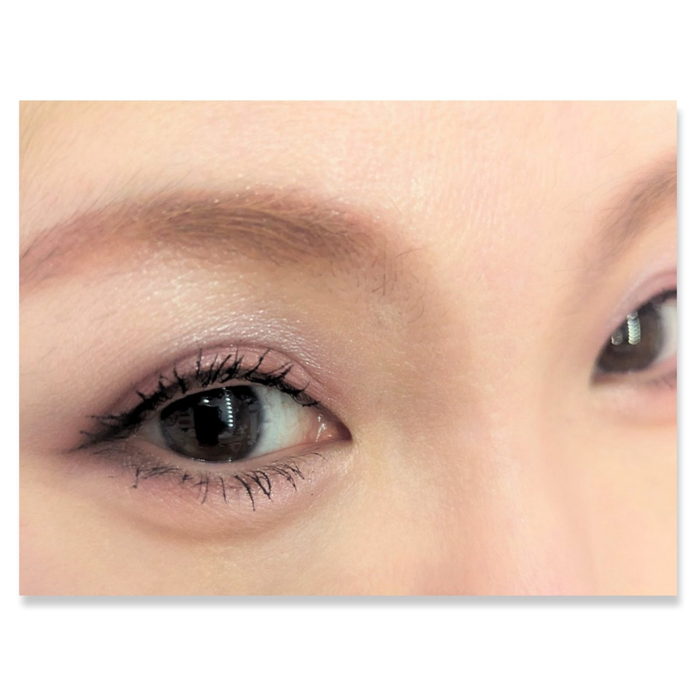 ワンダー エバー アイシャドウ/リンメル ロンドン/アイシャドウパレットを使ったクチコミ(2枚目)