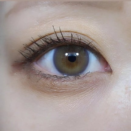 efos 1day デイリーモーヴ/efos/ワンデー(1DAY)カラコンの画像