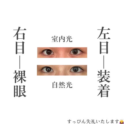 perse 1day パームグリーン/perse/ワンデー(1DAY)カラコンの画像