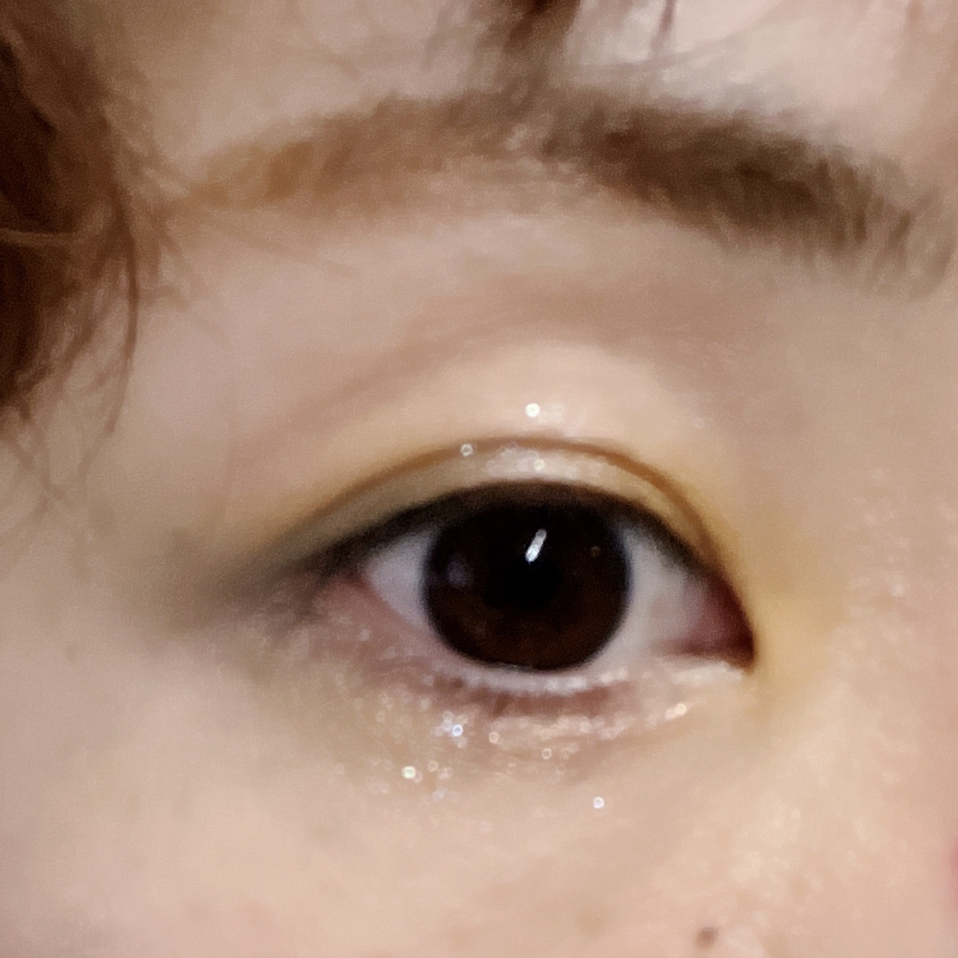 センシュアルスリーク アイズ PK-4 ベージュピンク/Visée/リキッドアイシャドウを使ったクチコミ（2枚目）