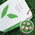 innisfreeJeju Soap DIY Kit