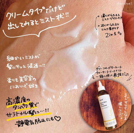 ヘアパック in ミスト/Daleaf/ヘアミルクを使ったクチコミ(2枚目)